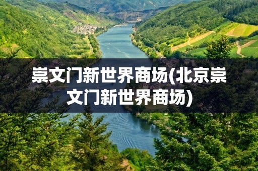 崇文门新世界商场(北京崇文门新世界商场)