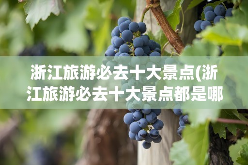 浙江旅游必去十大景点(浙江旅游必去十大景点都是哪些)