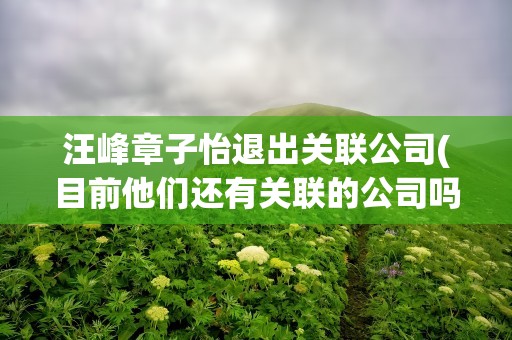 汪峰章子怡退出关联公司(目前他们还有关联的公司吗)