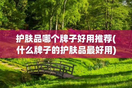 护肤品哪个牌子好用推荐(什么牌子的护肤品最好用)