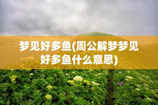 梦见好多鱼(周公解梦梦见好多鱼什么意思)