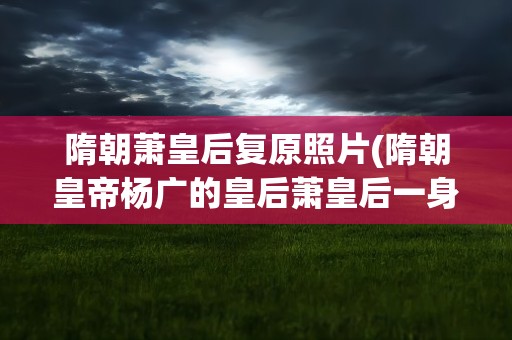 隋朝萧皇后复原照片(隋朝皇帝杨广的皇后萧皇后一身经历了几次婚姻)