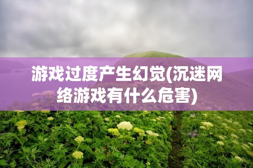 游戏过度产生幻觉(沉迷网络游戏有什么危害)