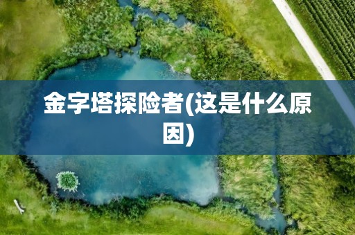 金字塔探险者(这是什么原因)
