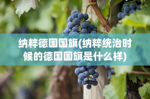 纳粹德国国旗(纳粹统治时候的德国国旗是什么样)