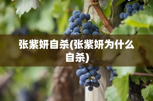 张紫妍自杀(张紫妍为什么自杀)