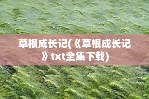 草根成长记(《草根成长记》txt全集下载)