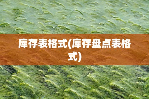 库存表格式(库存盘点表格式)