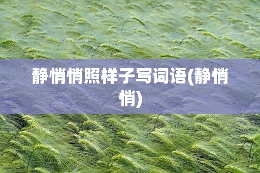 静悄悄照样子写词语(静悄悄)