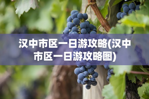 汉中市区一日游攻略(汉中市区一日游攻略图)