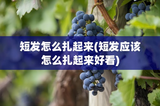 短发怎么扎起来(短发应该怎么扎起来好看)