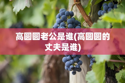 高圆圆老公是谁(高圆圆的丈夫是谁)