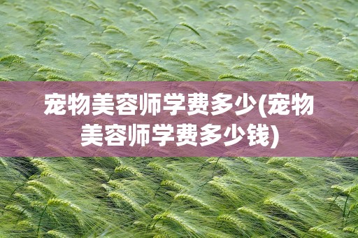 宠物美容师学费多少(宠物美容师学费多少钱)