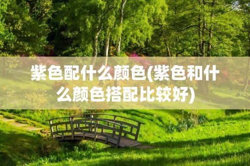 紫色配什么颜色(紫色和什么颜色搭配比较好)