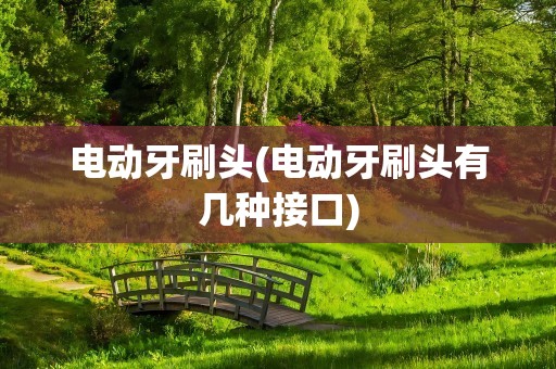 电动牙刷头(电动牙刷头有几种接口)