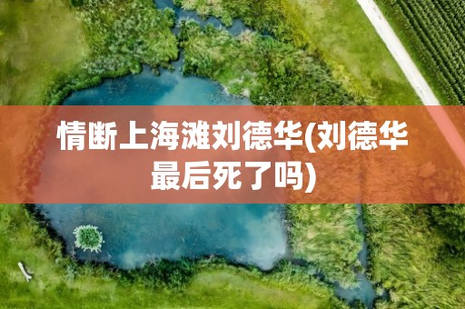 情断上海滩刘德华(刘德华最后死了吗)