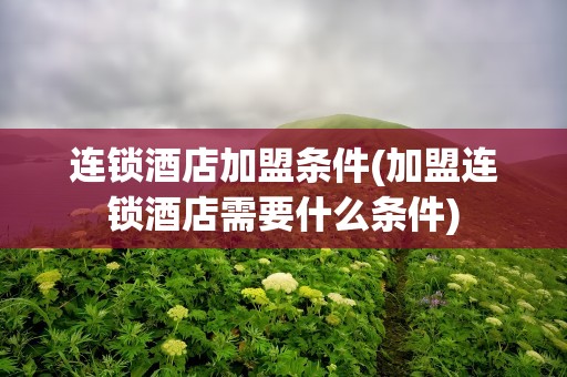 连锁酒店加盟条件(加盟连锁酒店需要什么条件)