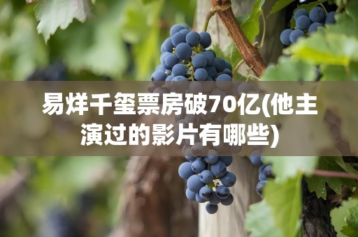 易烊千玺票房破70亿(他主演过的影片有哪些)
