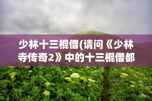 少林十三棍僧(请问《少林寺传奇2》中的十三棍僧都是谁)