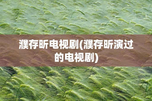 濮存昕电视剧(濮存昕演过的电视剧)