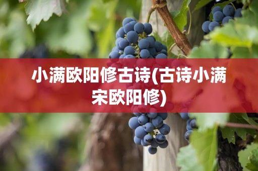 小满欧阳修古诗(古诗小满宋欧阳修)