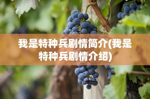 我是特种兵剧情简介(我是特种兵剧情介绍)