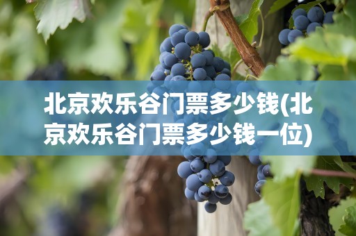 北京欢乐谷门票多少钱(北京欢乐谷门票多少钱一位)