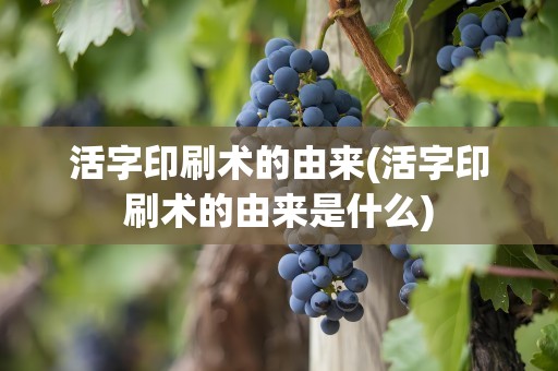 活字印刷术的由来(活字印刷术的由来是什么)