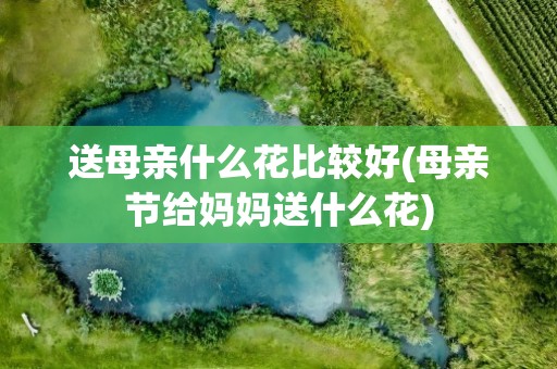 送母亲什么花比较好(母亲节给妈妈送什么花)