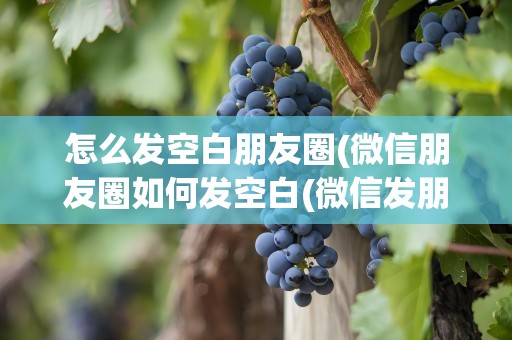 怎么发空白朋友圈(微信朋友圈如何发空白(微信发朋友圈怎么弄空白格))