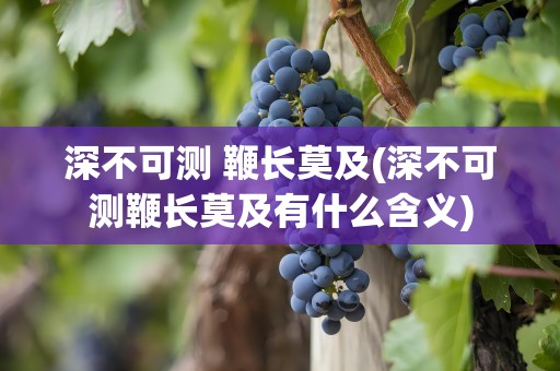 深不可测 鞭长莫及(深不可测鞭长莫及有什么含义)