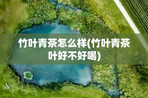 竹叶青茶怎么样(竹叶青茶叶好不好喝)