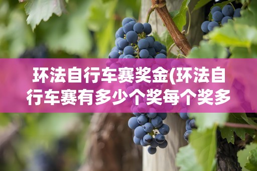 环法自行车赛奖金(环法自行车赛有多少个奖每个奖多少钱)