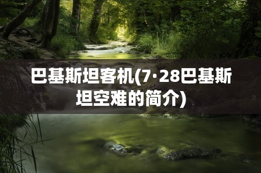 巴基斯坦客机(7·28巴基斯坦空难的简介)