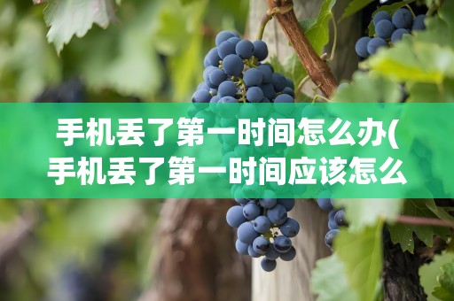 手机丢了第一时间怎么办(手机丢了第一时间应该怎么办)