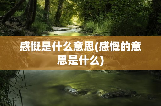 感慨是什么意思(感慨的意思是什么)