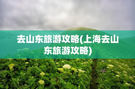 去山东旅游攻略(上海去山东旅游攻略)