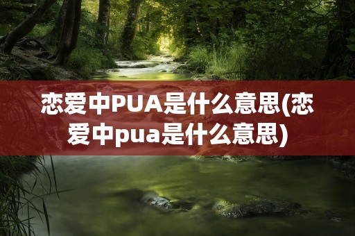 恋爱中PUA是什么意思(恋爱中pua是什么意思)
