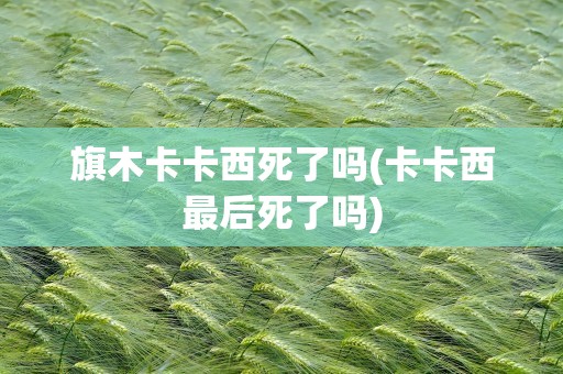 旗木卡卡西死了吗(卡卡西最后死了吗)