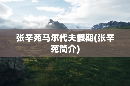 张辛苑马尔代夫假期(张辛苑简介)