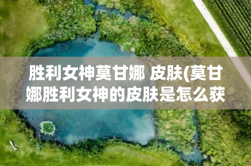 胜利女神莫甘娜 皮肤(莫甘娜胜利女神的皮肤是怎么获得的)