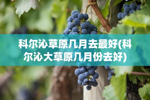 科尔沁草原几月去最好(科尔沁大草原几月份去好)