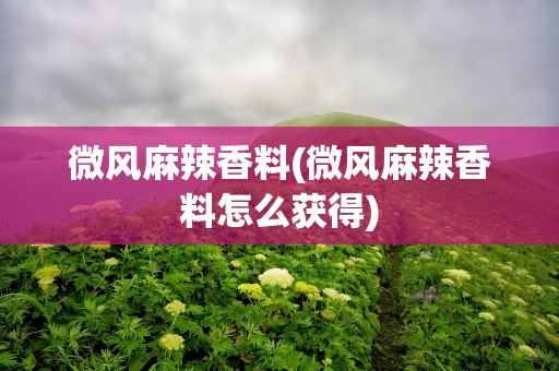 微风麻辣香料(微风麻辣香料怎么获得)