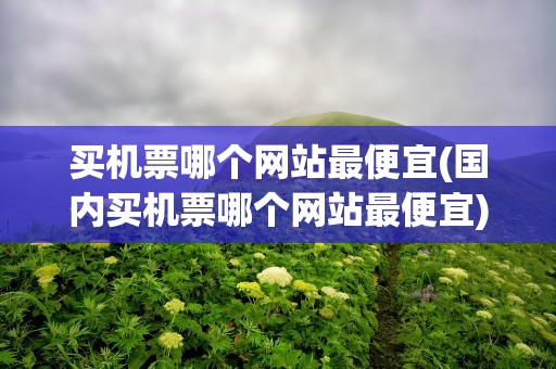 买机票哪个网站最便宜(国内买机票哪个网站最便宜)