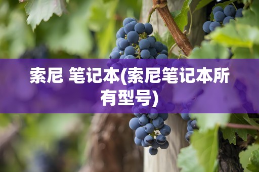 索尼 笔记本(索尼笔记本所有型号)