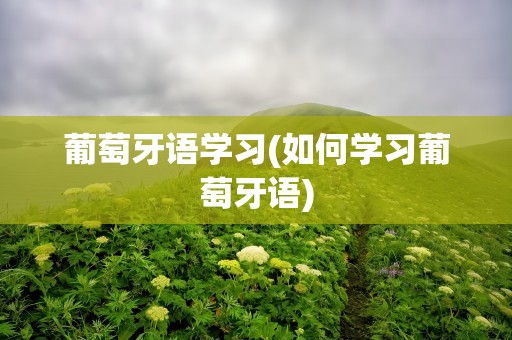 葡萄牙语学习(如何学习葡萄牙语)