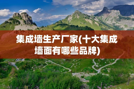 集成墙生产厂家(十大集成墙面有哪些品牌)