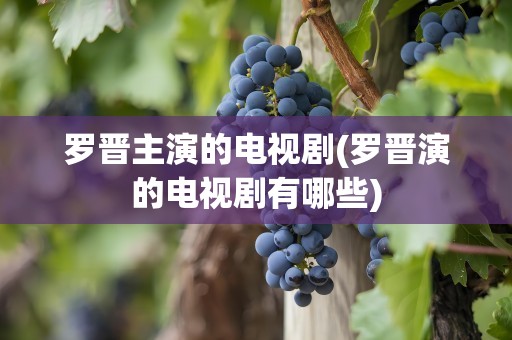 罗晋主演的电视剧(罗晋演的电视剧有哪些)