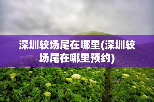 深圳较场尾在哪里(深圳较场尾在哪里预约)