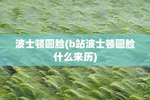 波士顿圆脸(b站波士顿圆脸什么来历)